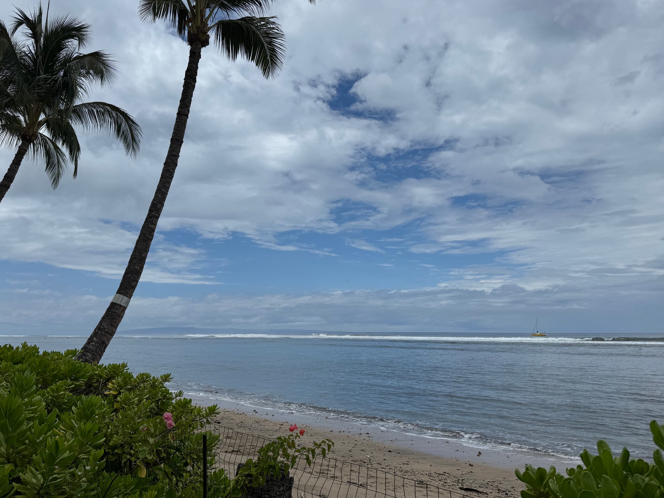 Condo in Lahaina · ★4.93 · Studio · 1 bed · 1 bath - Image 14