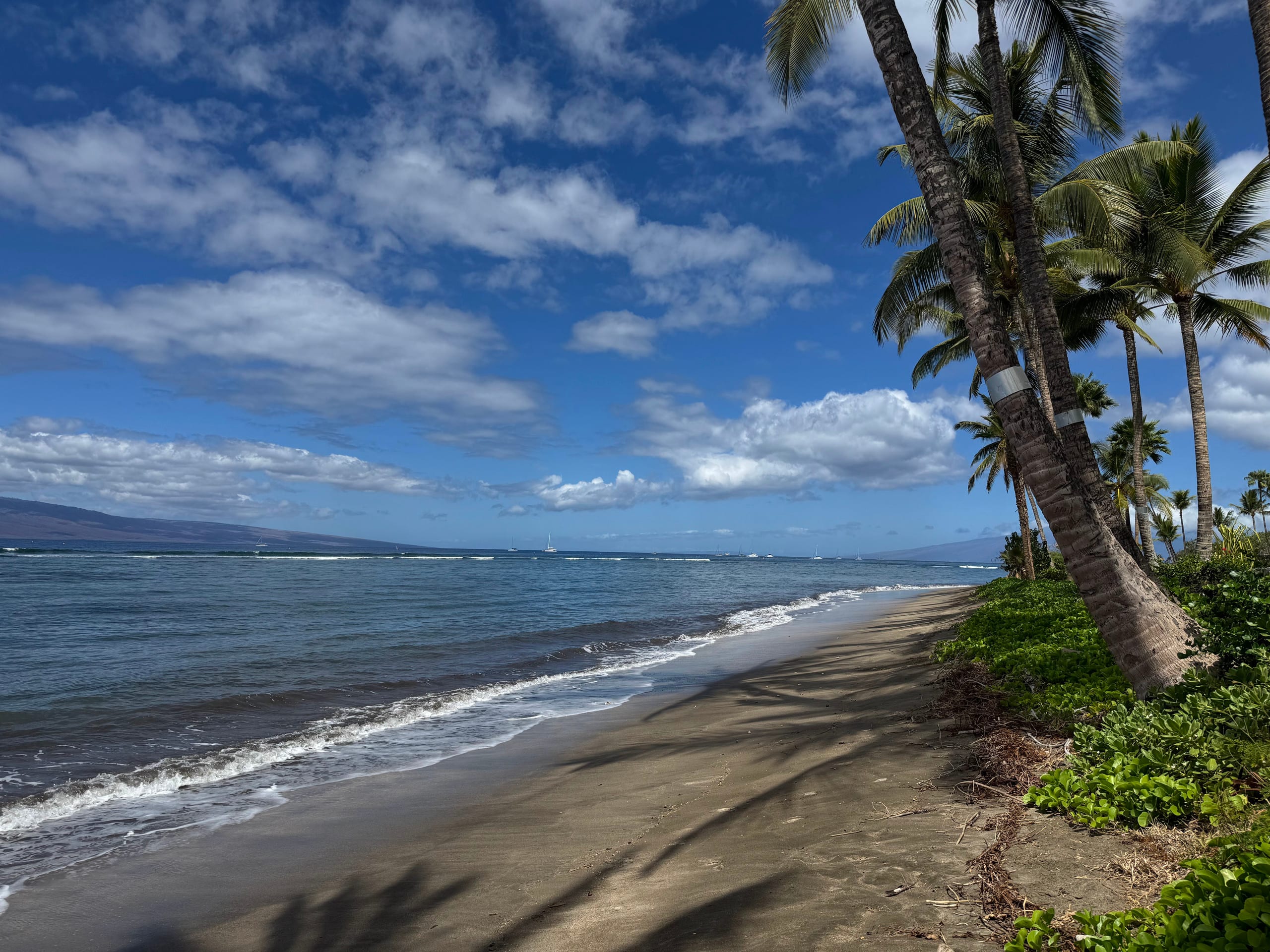 Condo in Lahaina · ★4.93 · Studio · 1 bed · 1 bath - Image 11
