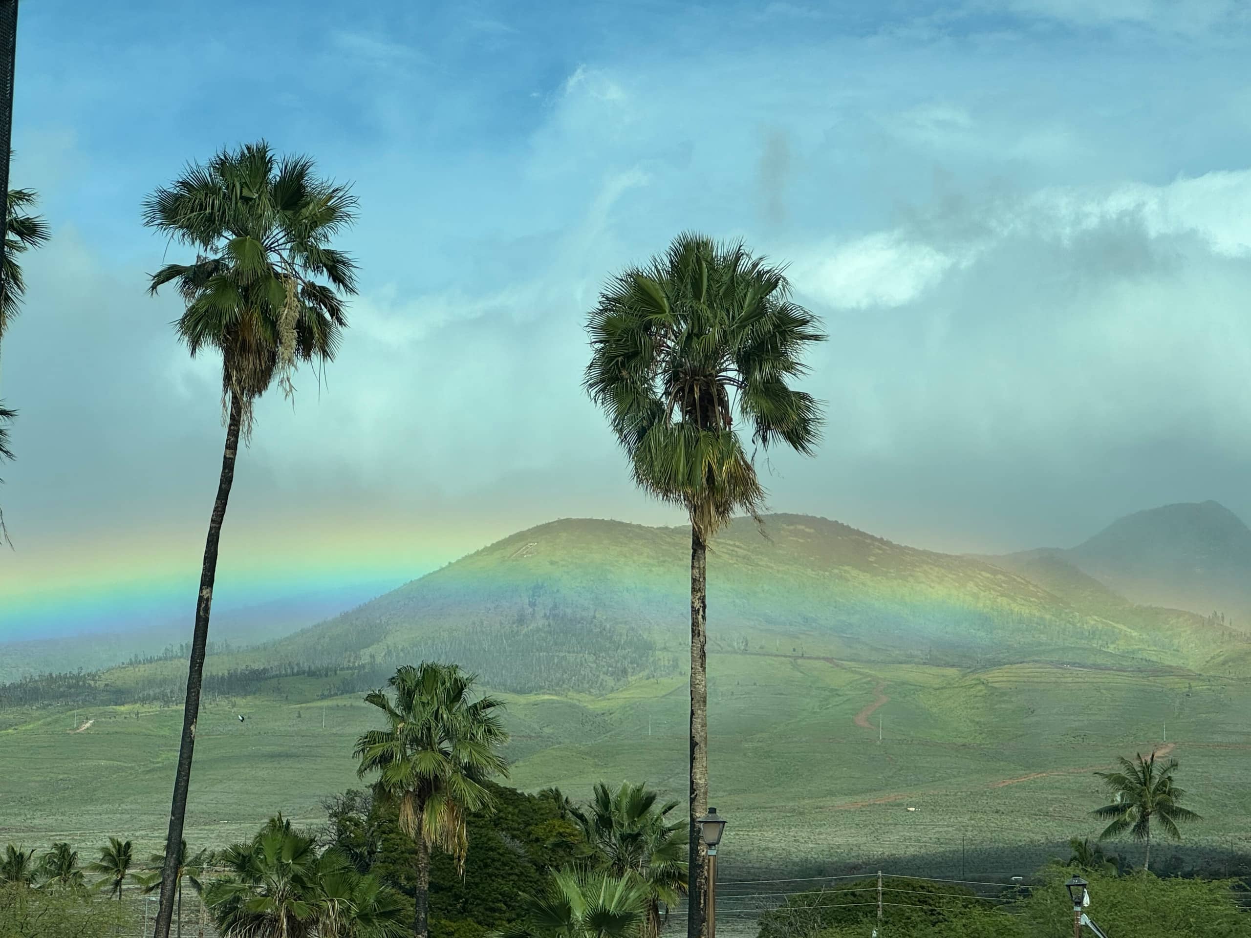 Condo in Lahaina · ★4.93 · Studio · 1 bed · 1 bath - Image 20