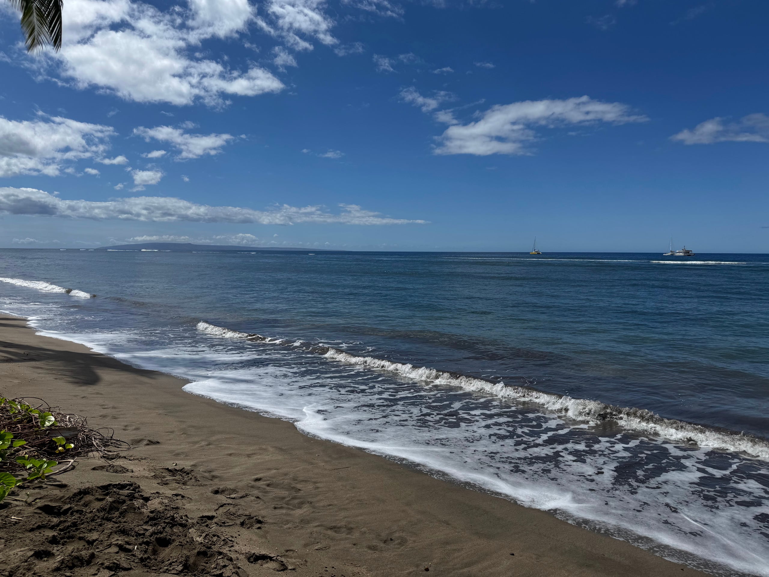 Condo in Lahaina · ★4.93 · Studio · 1 bed · 1 bath - Image 13