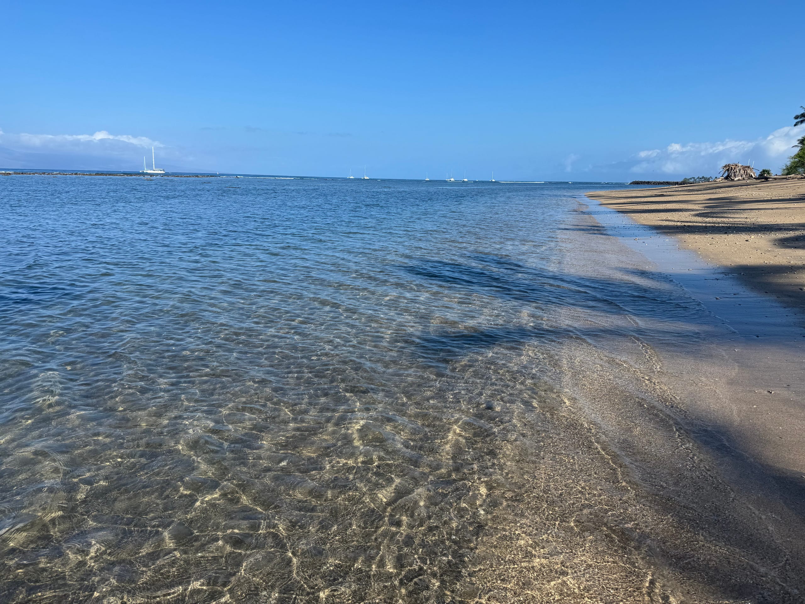 Condo in Lahaina · ★4.93 · Studio · 1 bed · 1 bath - Image 16