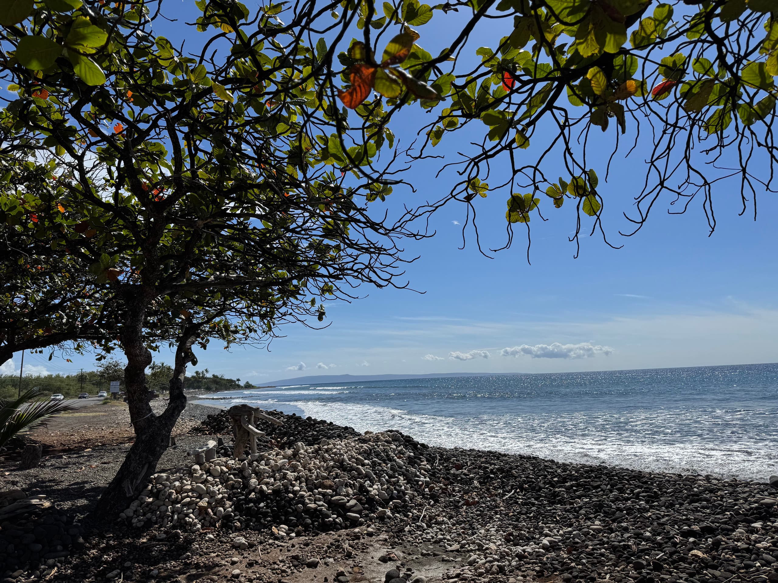 Condo in Lahaina · ★4.93 · Studio · 1 bed · 1 bath - Image 29
