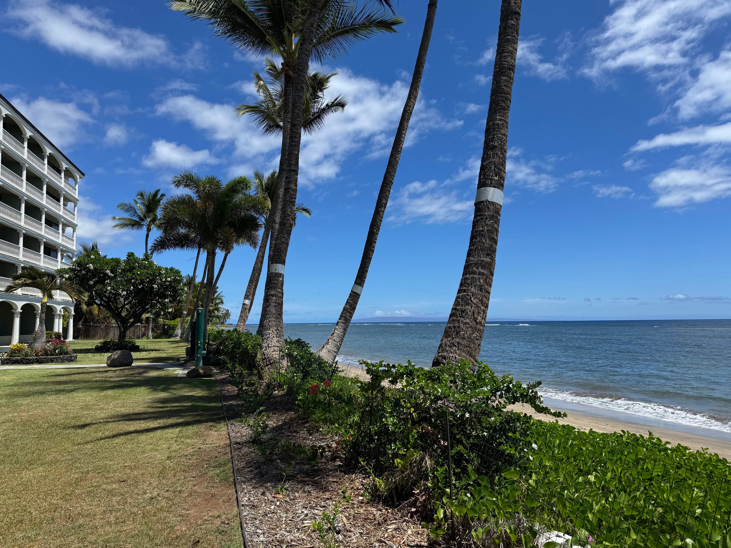 Condo in Lahaina · ★4.93 · Studio · 1 bed · 1 bath - Image 12