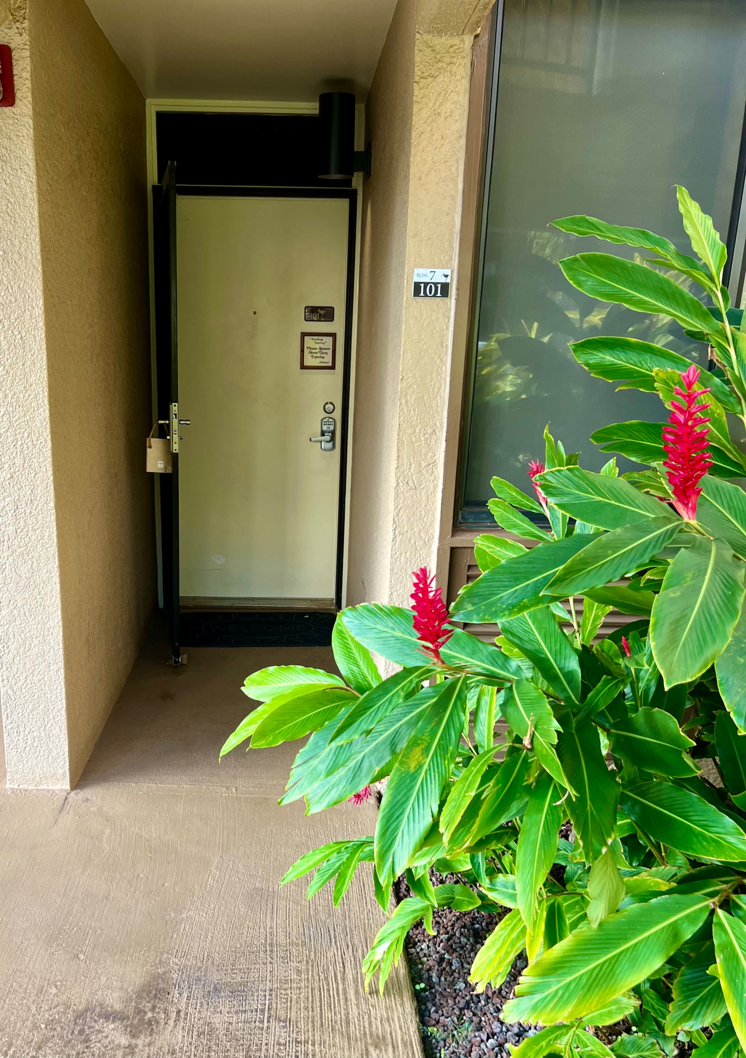 40% off the price. Ocean view. Next to the beach. - Image 9
