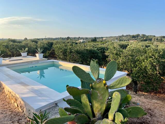 Beautiful Trullo and Lamia with private pool gallery image 3