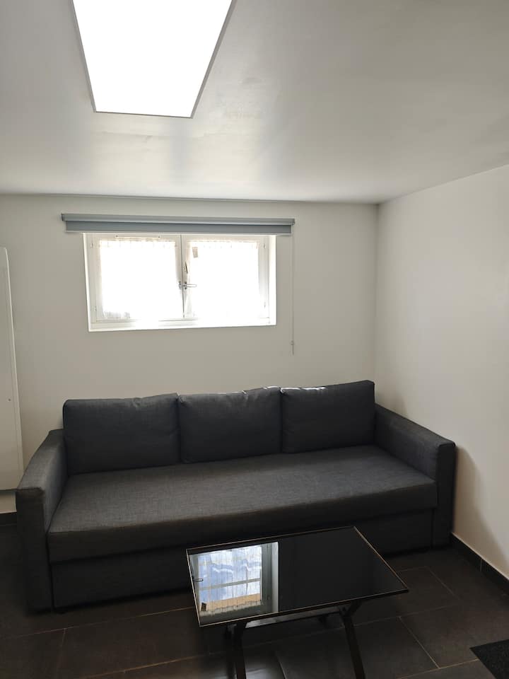 Petit Appartement Independant Avec Terrasse - Saint-Genis-Pouilly