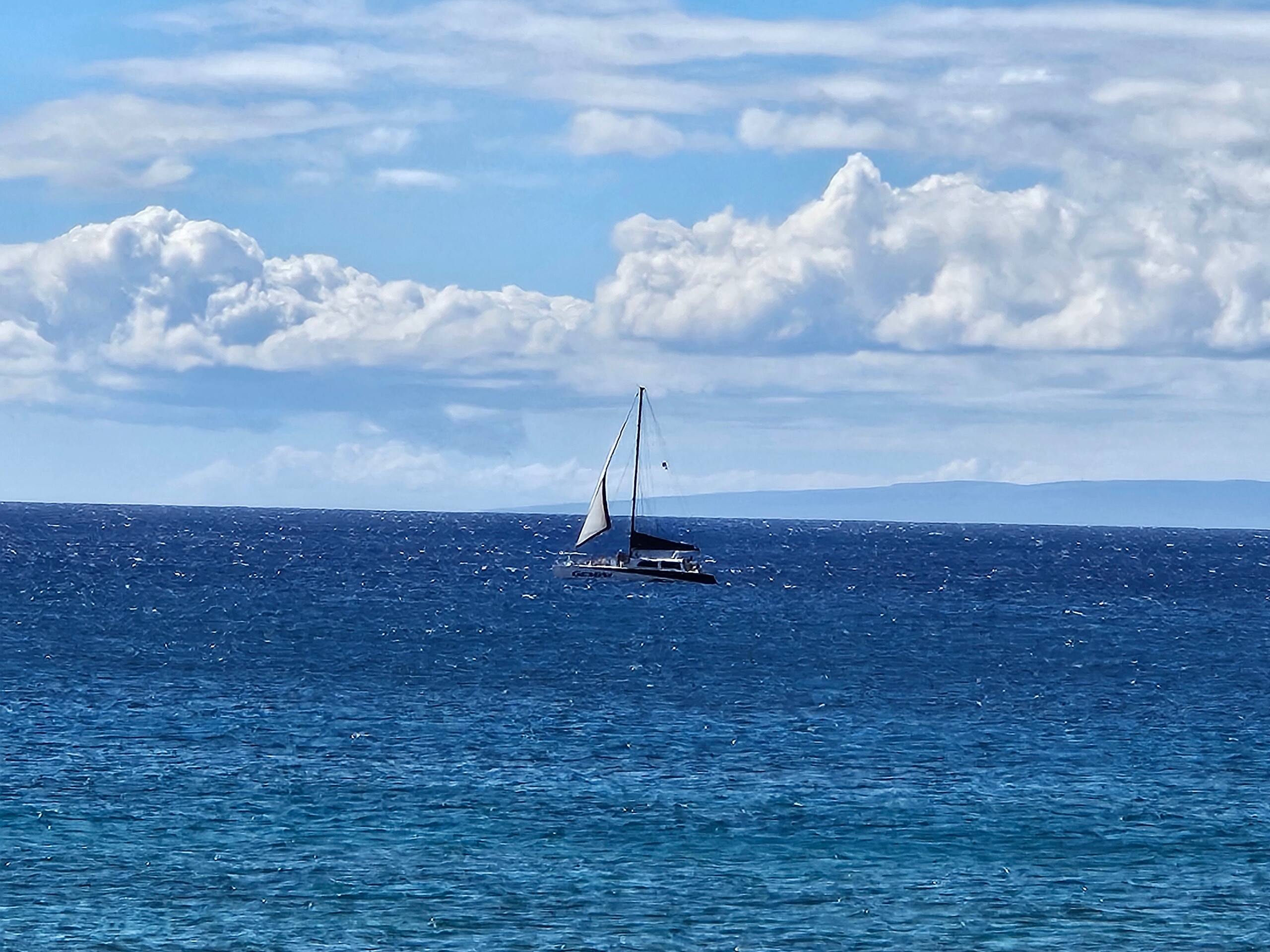 Condo in Lahaina · ★4.93 · 1 bedroom · 1 bed · 1 bath - Image 37