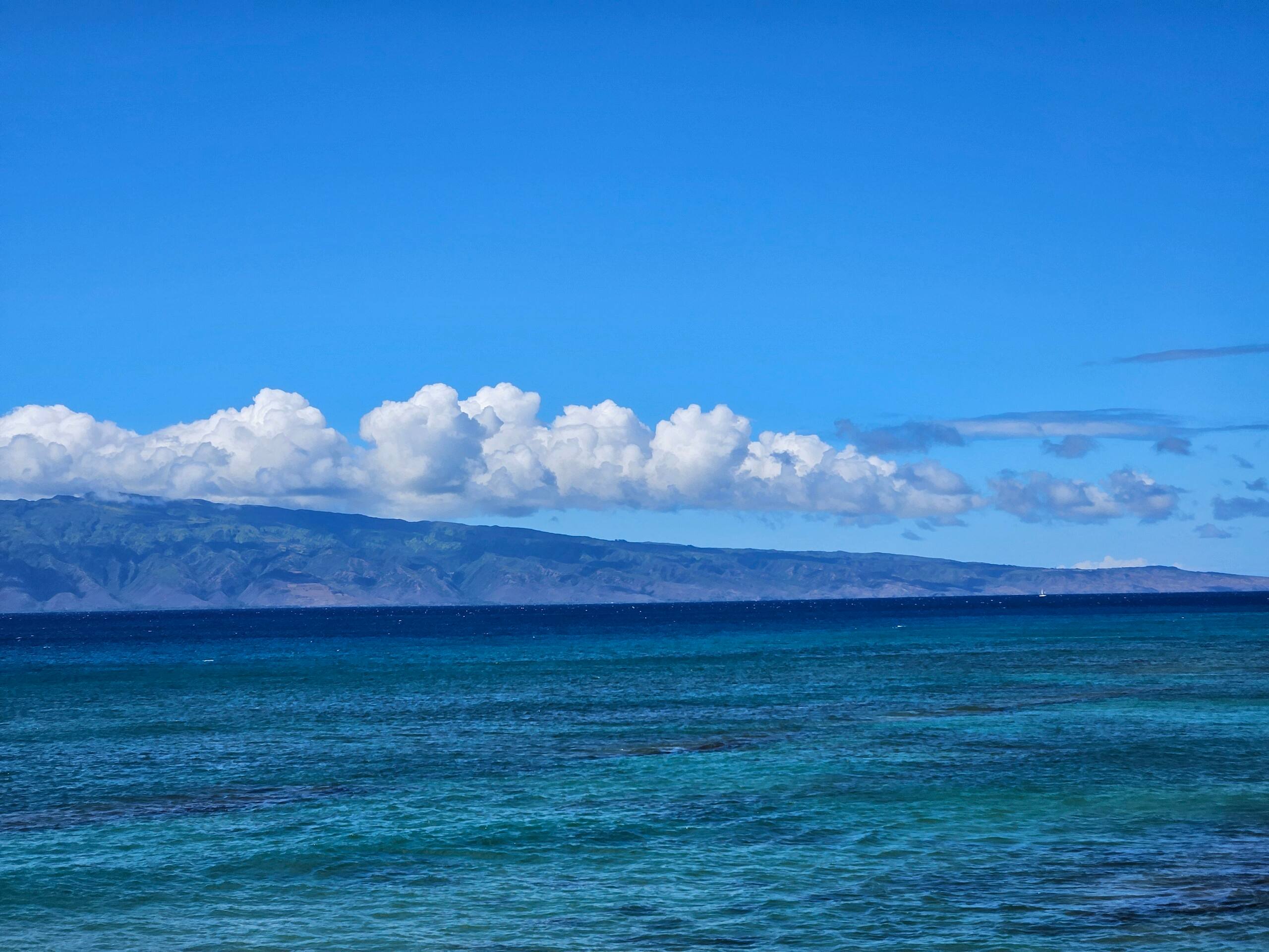 Condo in Lahaina · ★4.93 · 1 bedroom · 1 bed · 1 bath - Image 38