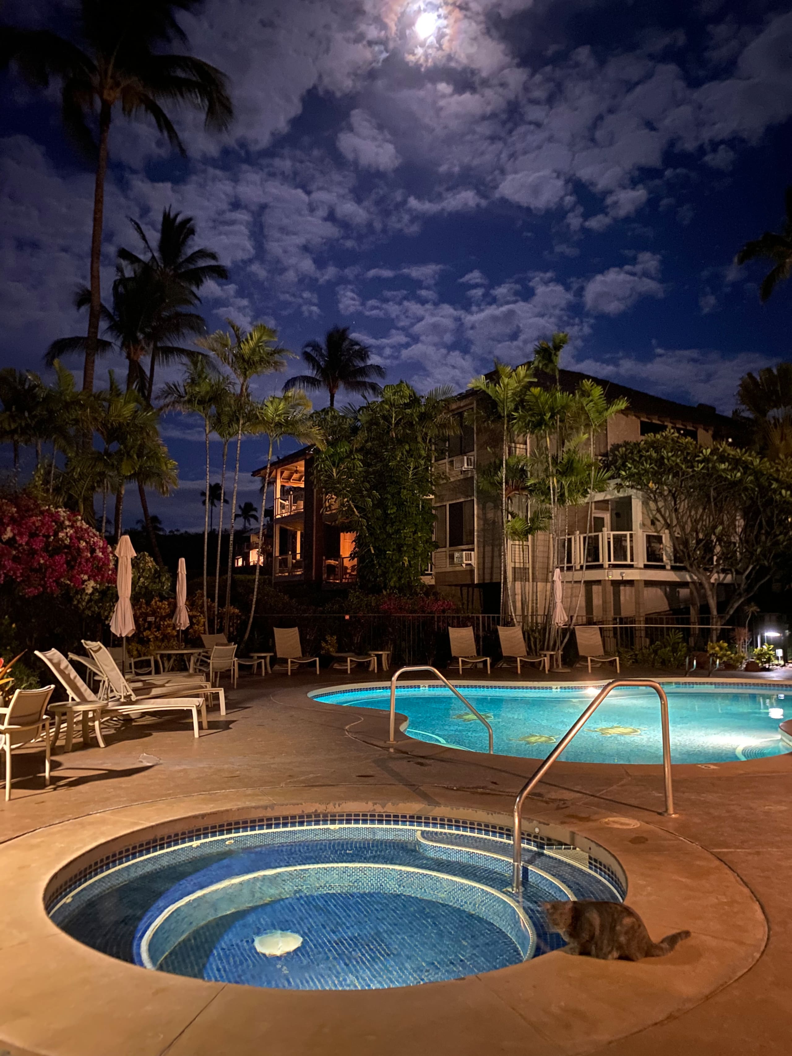 Condo in Wailea · ★4.96 · 1 bedroom · 1 bed · 1 bath - Image 7