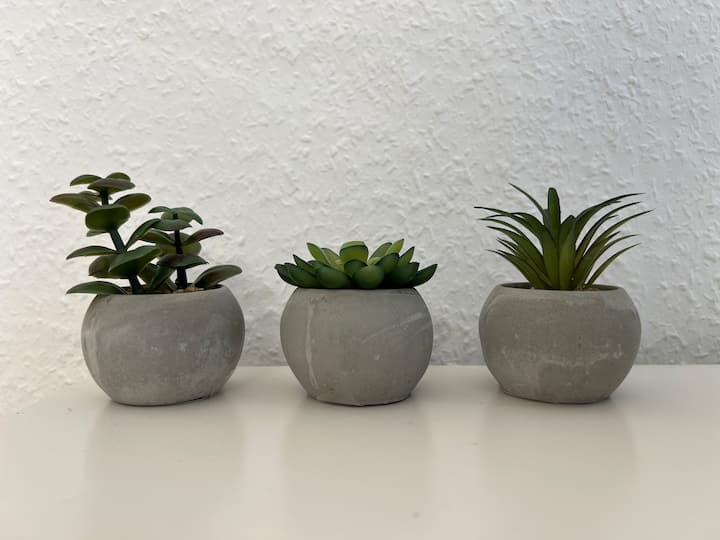 ห้องนั่งเล่น