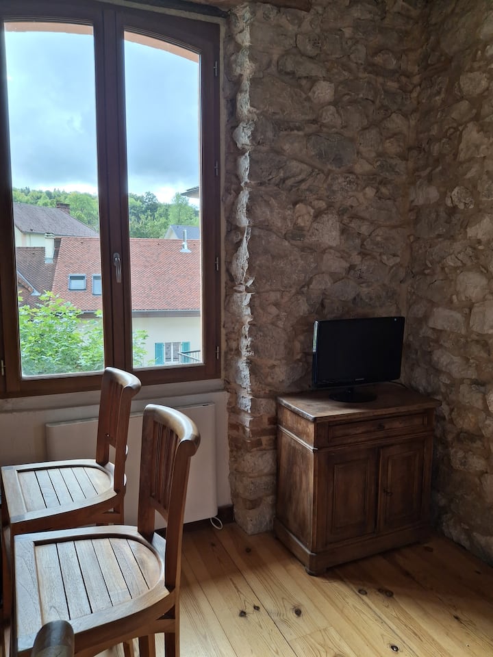 Location Charmant Appartement Au Lac Aiguebelette - Lac d'Aiguebelette
