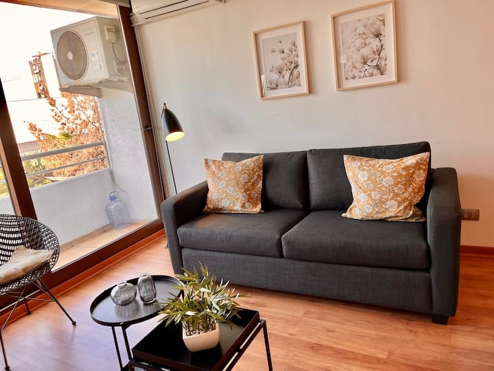 Appartement Chaleureux Au Cœur De Santiago - Providencia