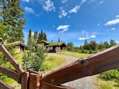 Cozy and family-friendly mountain cabin