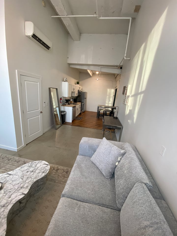 Industrial Downtown Loft Near The Maumee River. - Toledo, OH