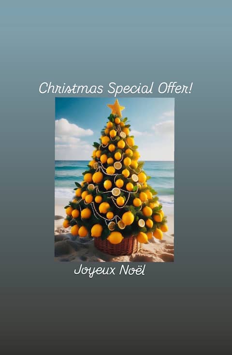 Villa Monti: Christmas Special Offer 2025!