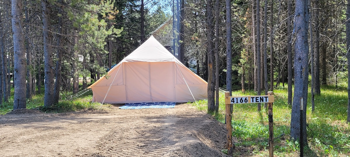 A spacious glamping tent is nestled among the trees, featuring a light-colored exterior. The area is surrounded by greenery and the ground is sandy, with a sign labeled '4166 TENT' positioned nearby. Sunlight filters through the branches, creating a serene outdoor setting.