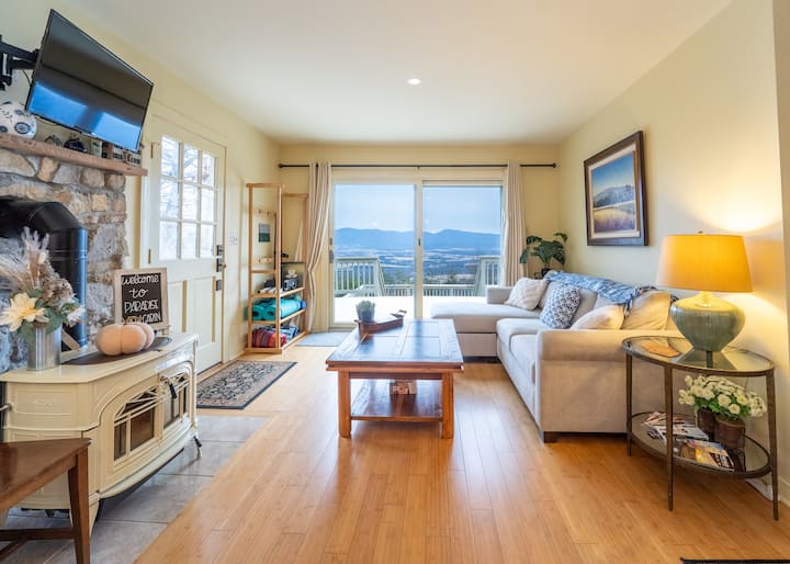 Paradise View Cabin | Private Mountain Vista + Spa - Luray, VA