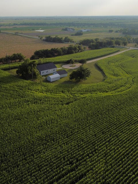 Cozy Farm: 2 Kings, 20 min to Austin/COTA/Tesla