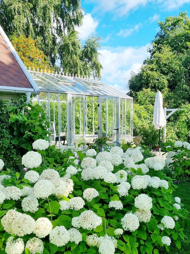 Charming guest house in lush garden in Åhus
