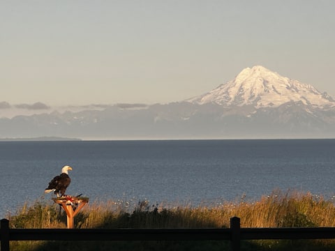 Top Airbnb: Eagles Nest on the Cook Inlet in Kenai