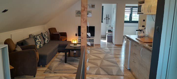 Bara Apartment N°3 - Transylvania