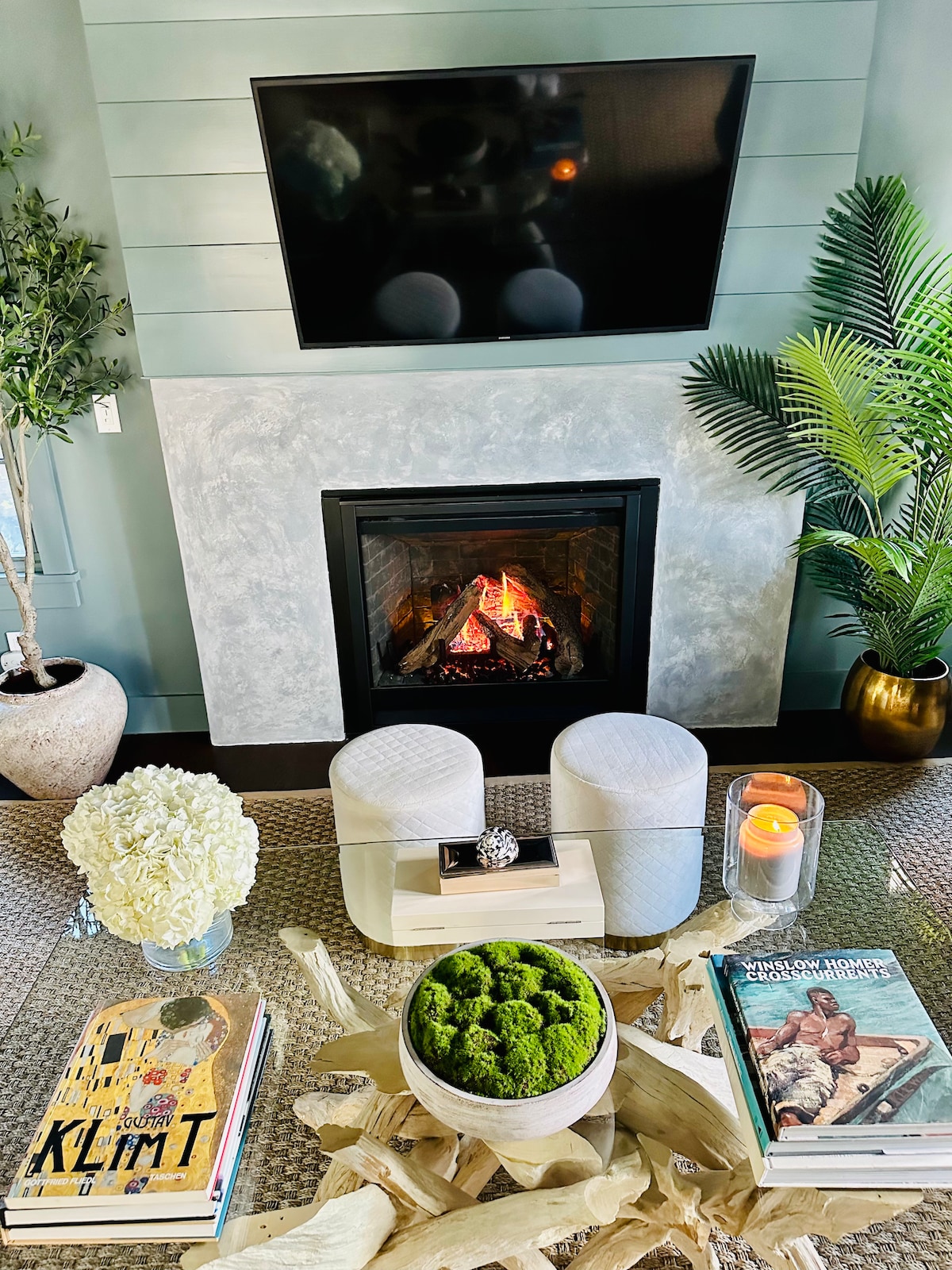 A living area features a stylish central coffee table adorned with decorative items, including a bowl of green moss and art books. A cozy fireplace is visible in the background, while an overhead television complements the relaxed atmosphere, surrounded by potted plants.