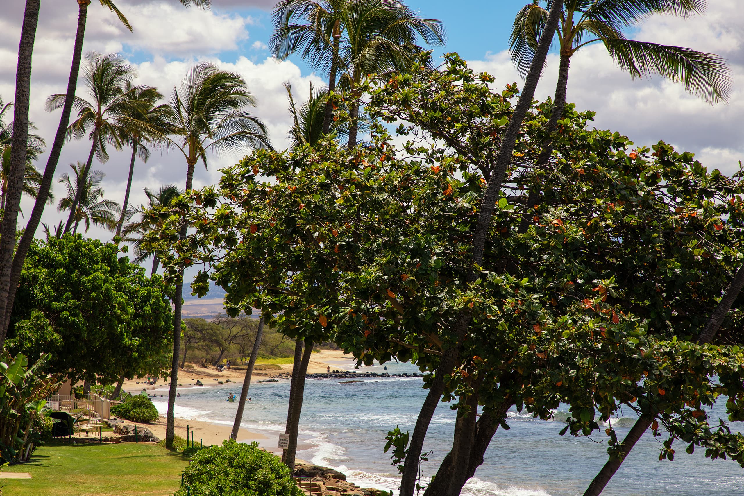 Condo in Wailuku · ★4.83 · 2 bedrooms · 4 beds · 2 private baths - Image 43
