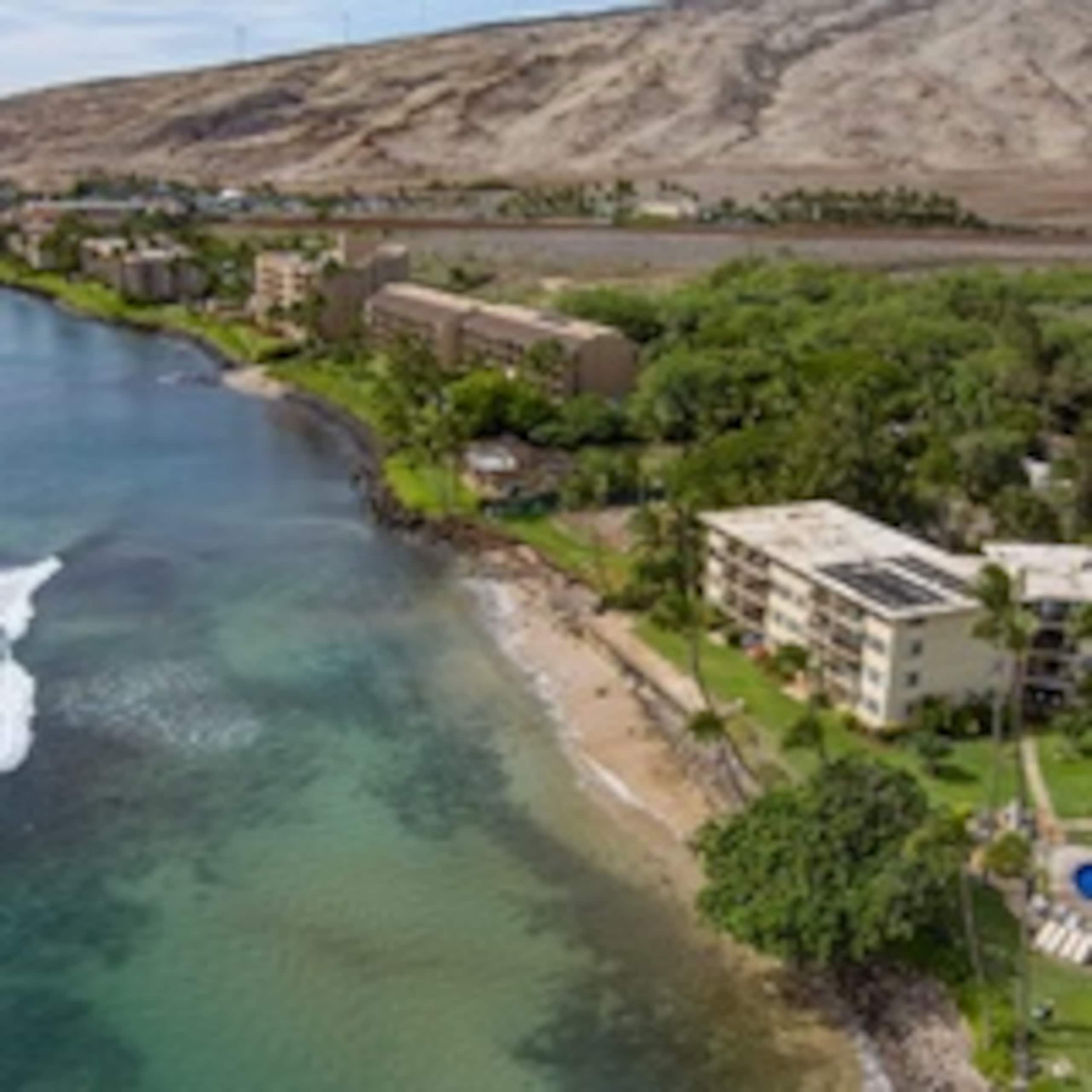 Condo in Wailuku · ★4.83 · 2 bedrooms · 4 beds · 2 private baths - Image 49
