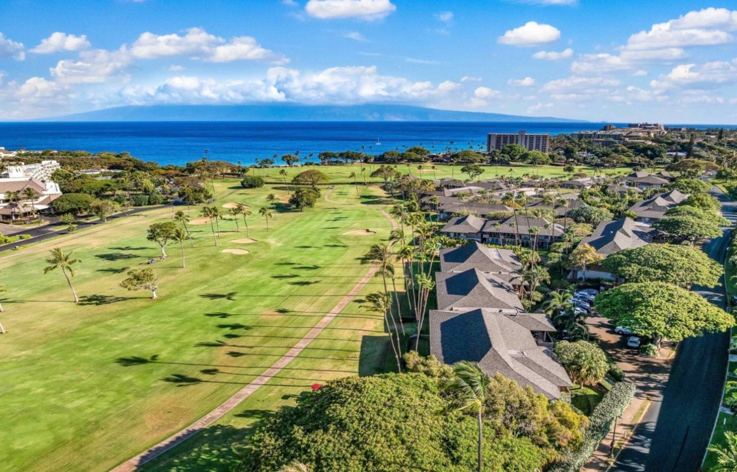 Condo in Lahaina · ★4.95 · Studio · 2 beds · 1 bath - Image 76