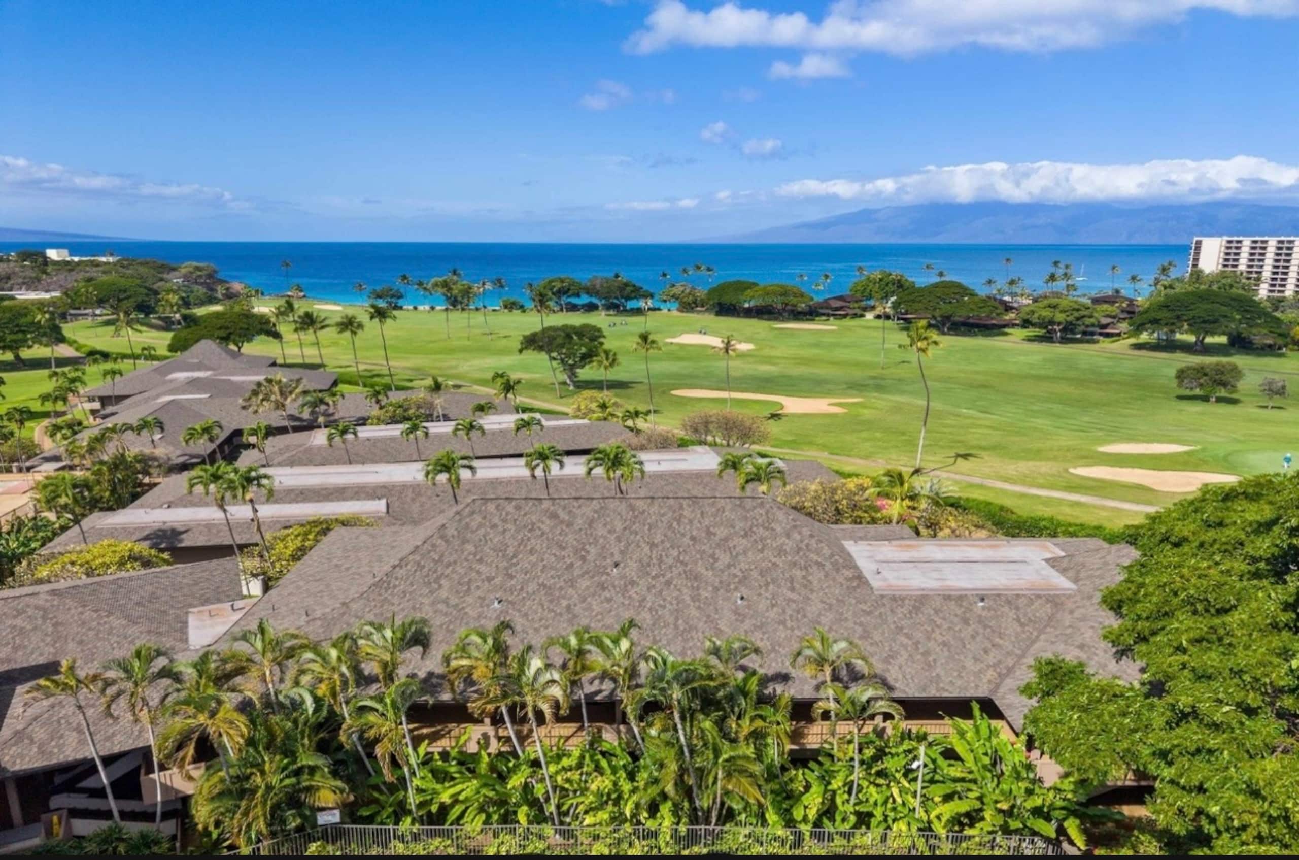 Condo in Lahaina · ★4.95 · Studio · 2 beds · 1 bath - Image 83