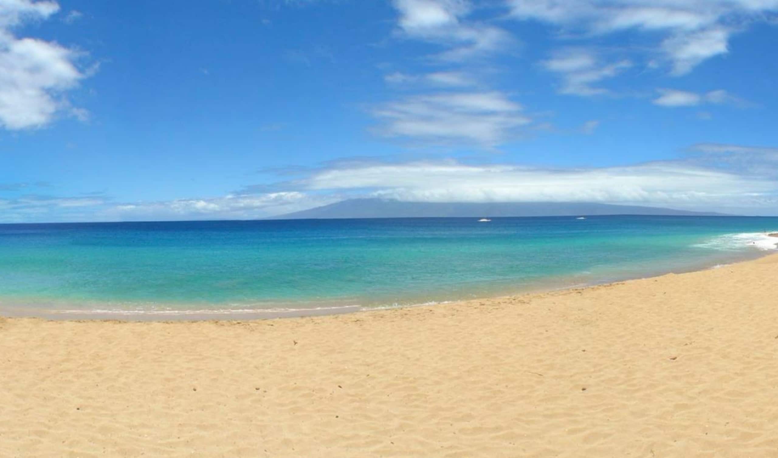 Condo in Lahaina · ★4.95 · Studio · 2 beds · 1 bath - Image 118