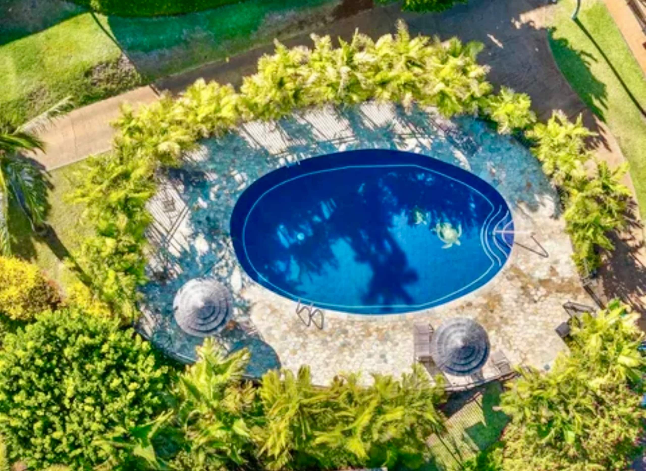 Condo in Lahaina · ★4.95 · Studio · 2 beds · 1 bath - Image 102