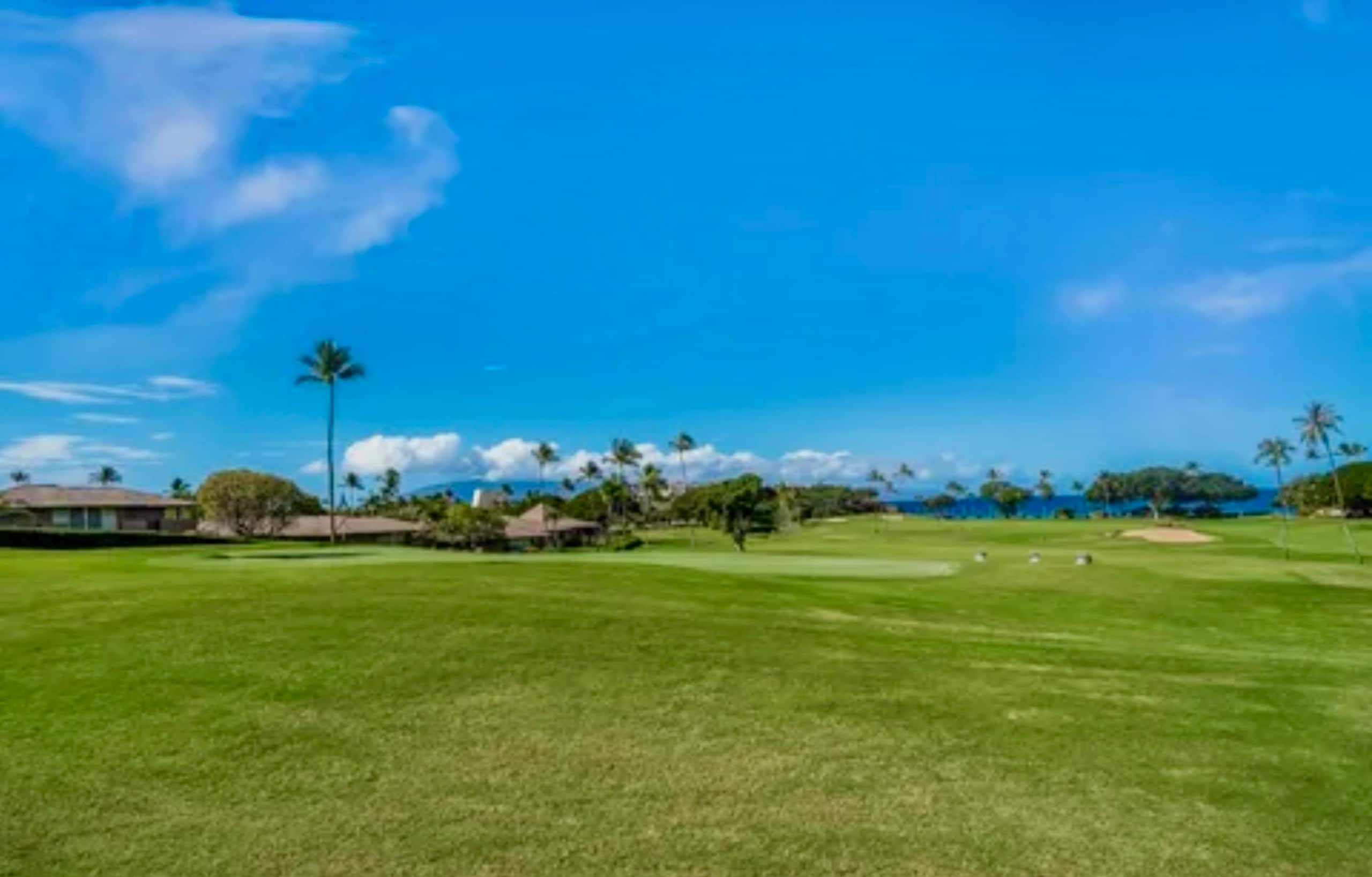 Condo in Lahaina · ★4.95 · Studio · 2 beds · 1 bath - Image 103