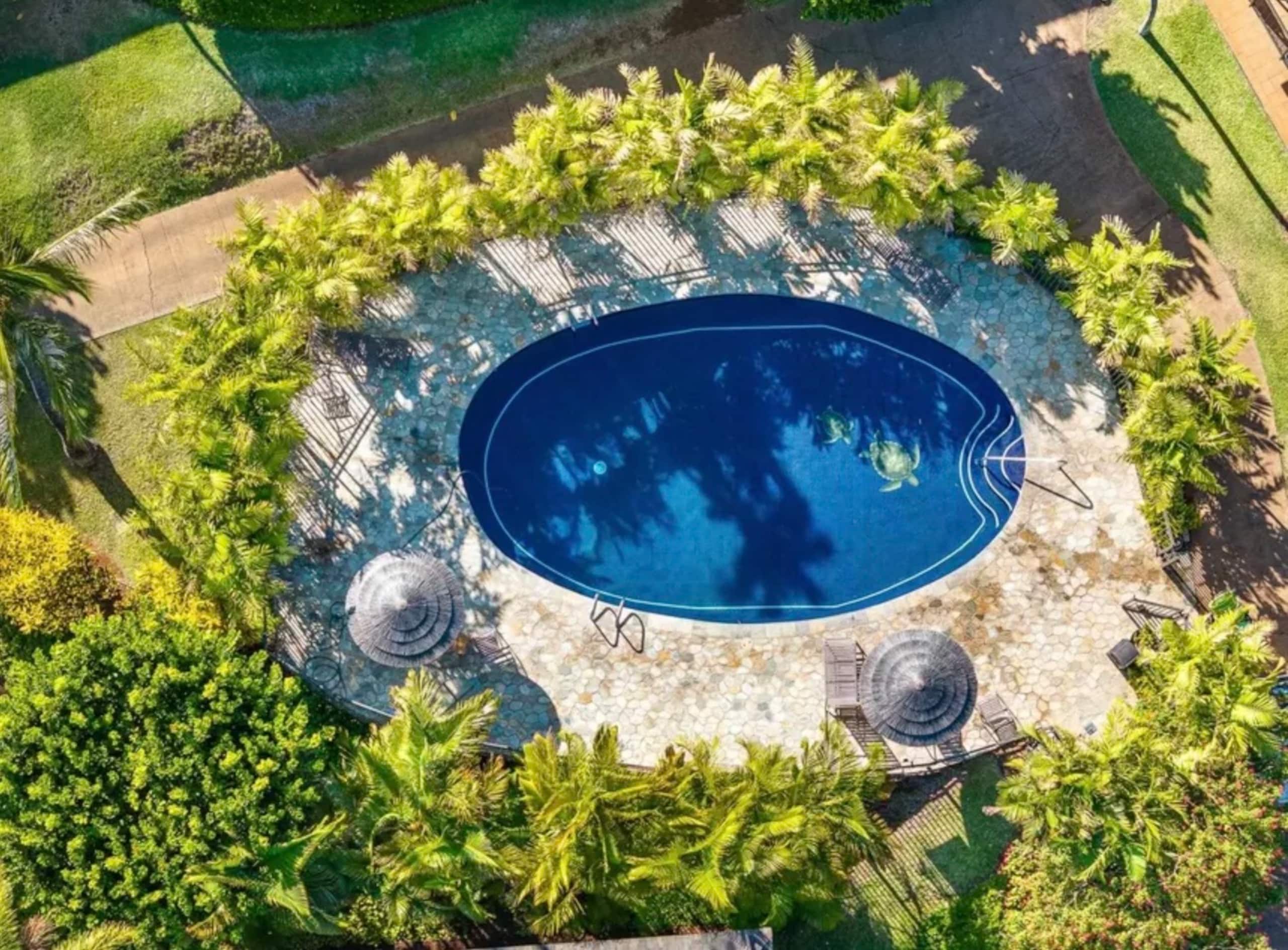 Condo in Lahaina · ★4.95 · Studio · 2 beds · 1 bath - Image 88