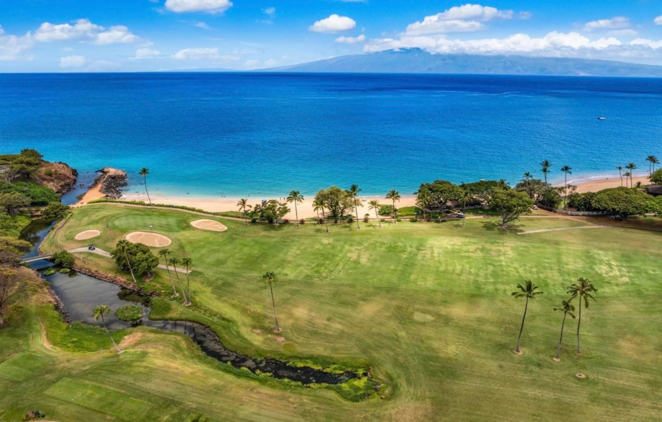 Condo in Lahaina · ★4.95 · Studio · 2 beds · 1 bath - Image 85