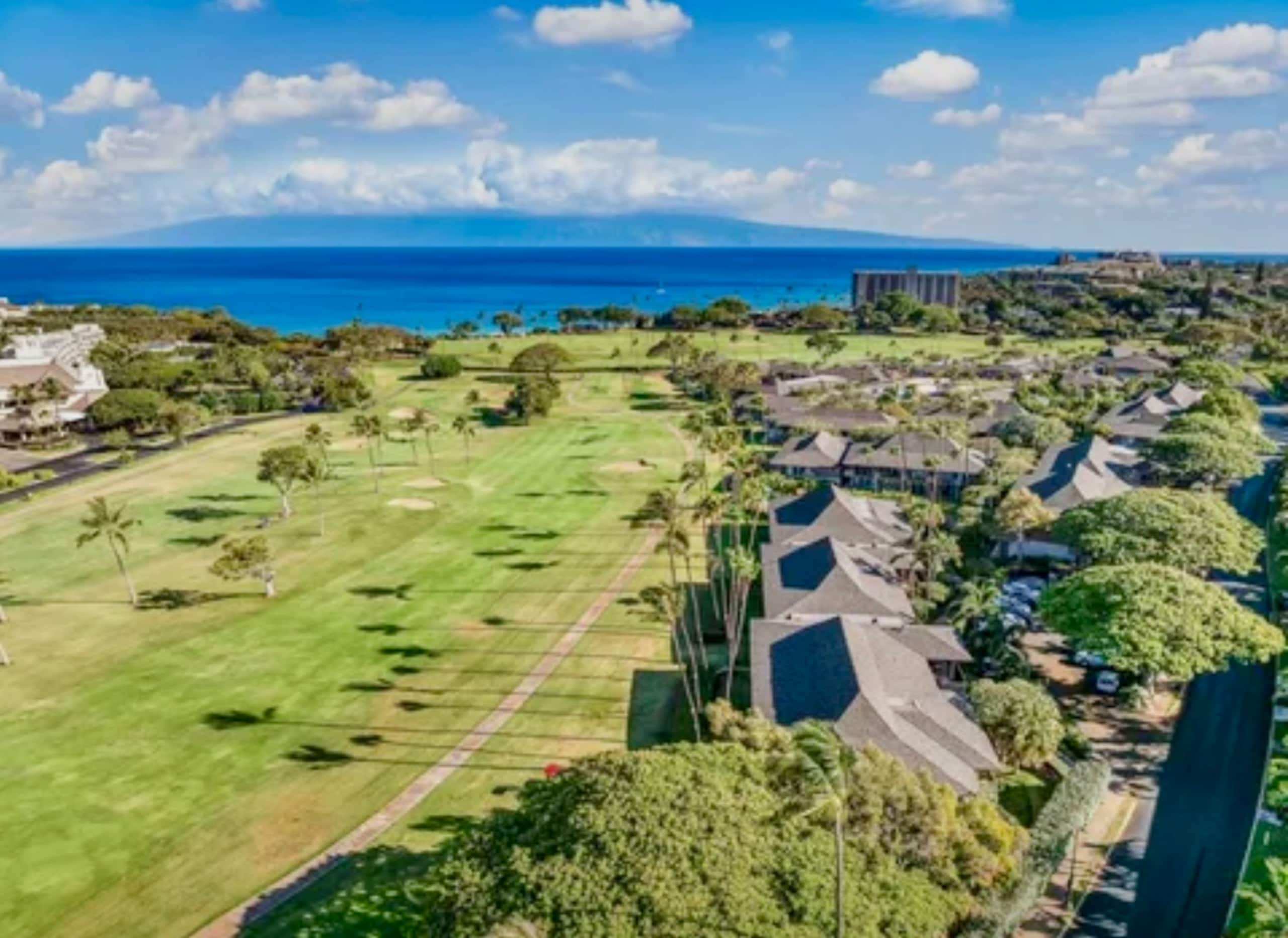 Condo in Lahaina · ★4.95 · Studio · 2 beds · 1 bath - Image 107