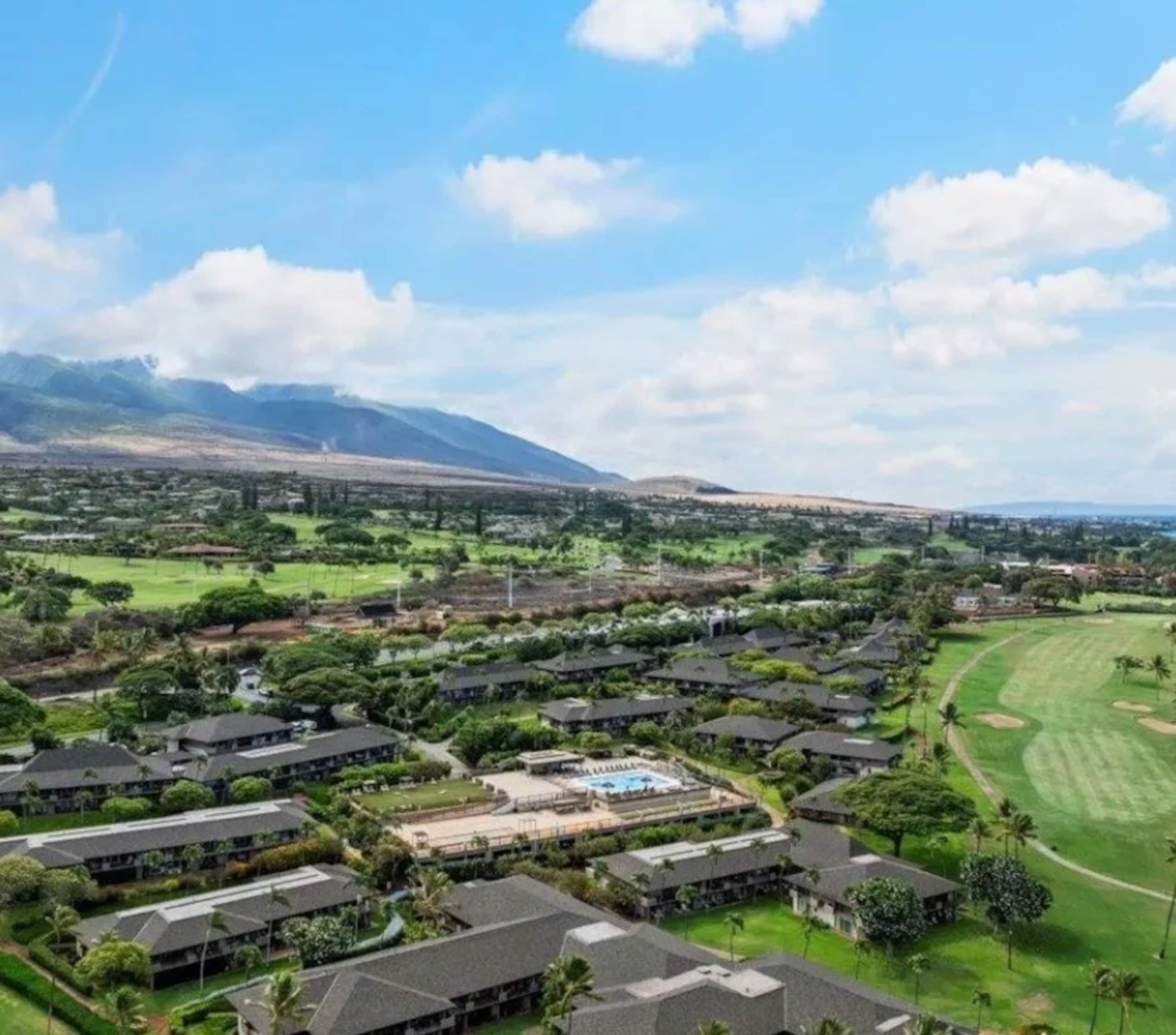 Condo in Lahaina · ★4.95 · Studio · 2 beds · 1 bath - Image 63