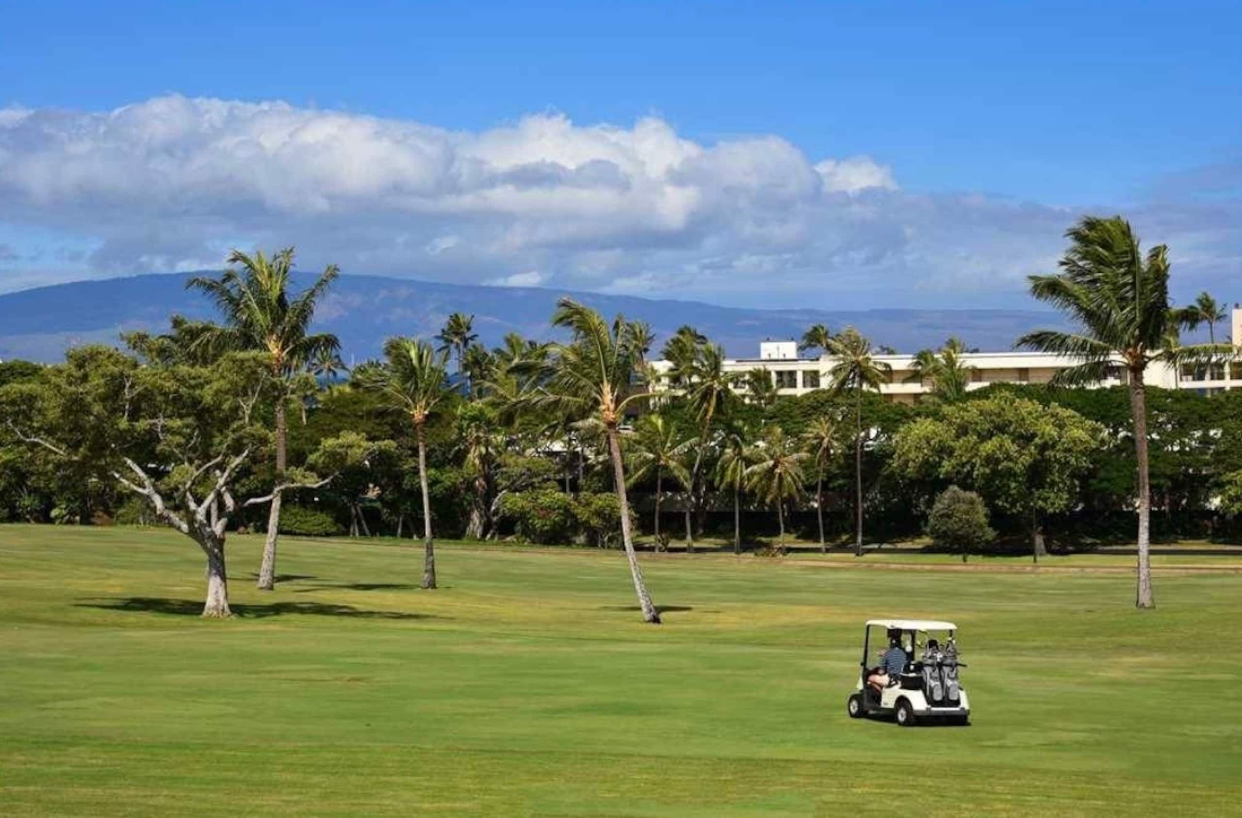 Condo in Lahaina · ★4.95 · Studio · 2 beds · 1 bath - Image 109