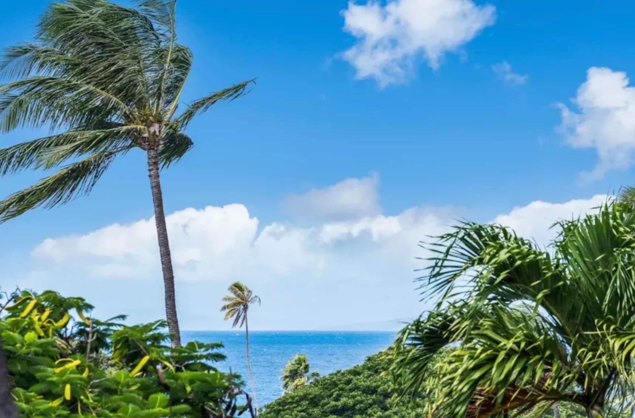 Condo in Lahaina · ★4.95 · Studio · 2 beds · 1 bath - Image 91