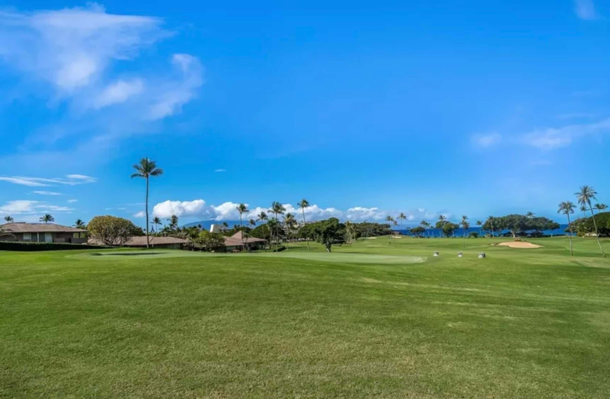 Condo in Lahaina · ★4.95 · Studio · 2 beds · 1 bath - Image 93