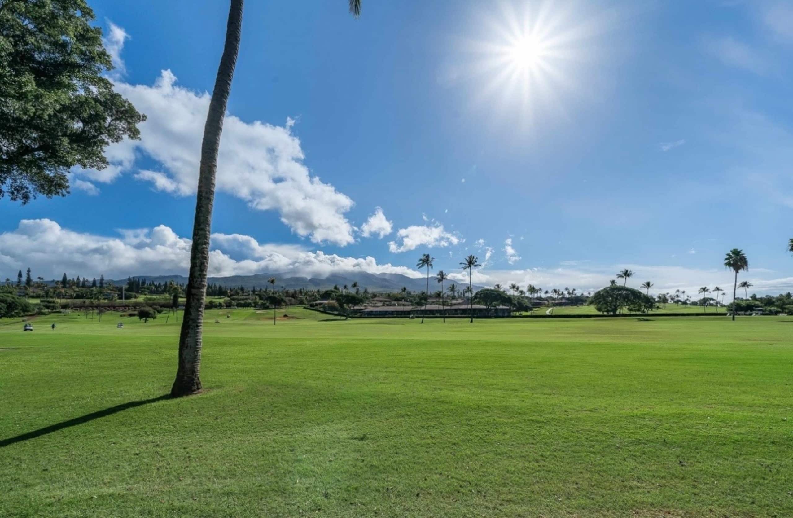 Condo in Lahaina · ★4.95 · Studio · 2 beds · 1 bath - Image 75