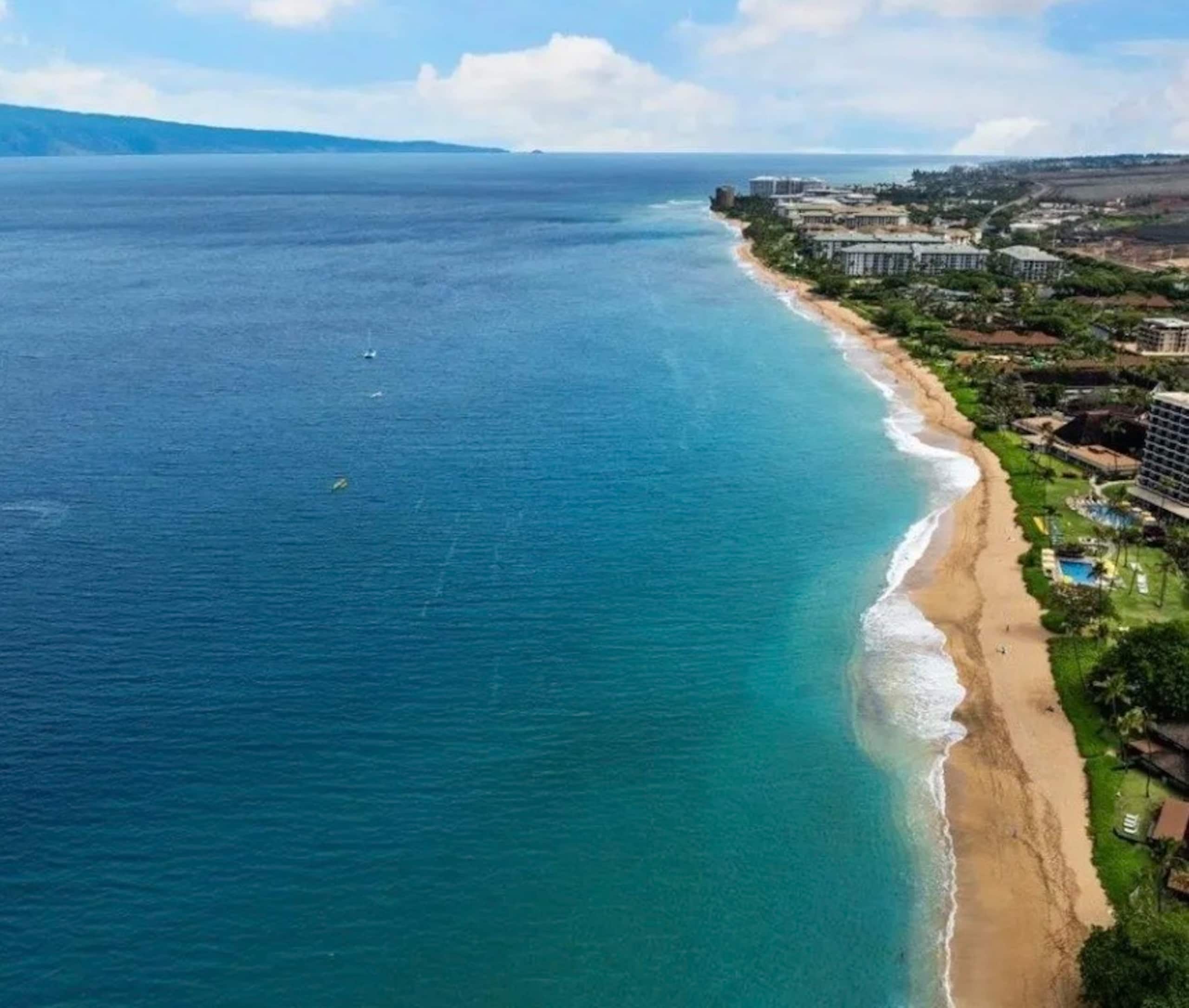 Condo in Lahaina · ★4.95 · Studio · 2 beds · 1 bath - Image 68
