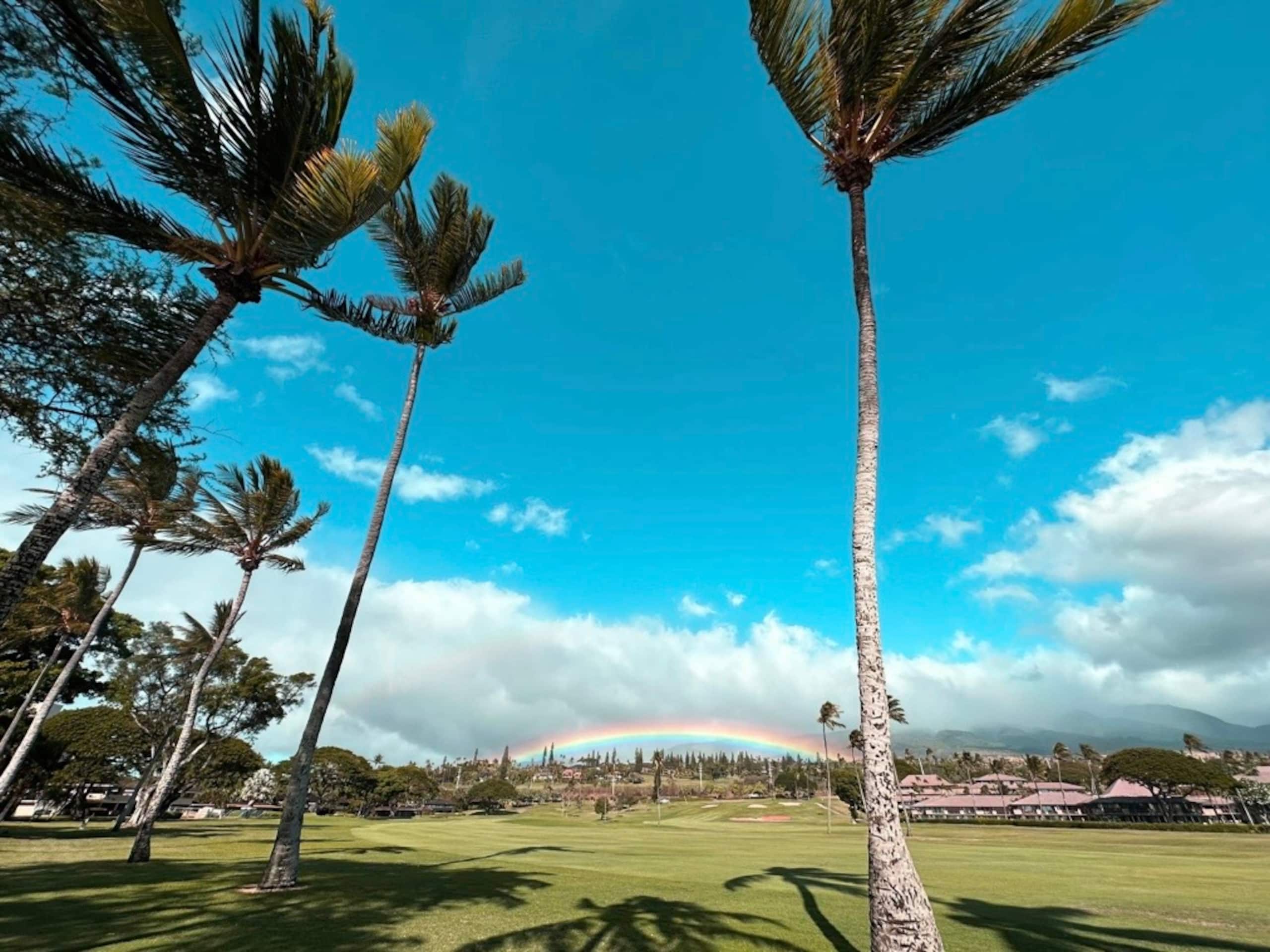 Condo in Lahaina · ★4.95 · Studio · 2 beds · 1 bath - Image 116