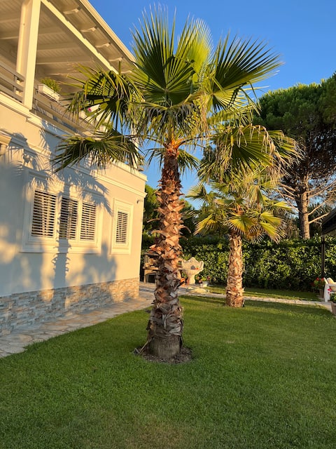 VILLA 6-bedroom front of beach with Luxury pool