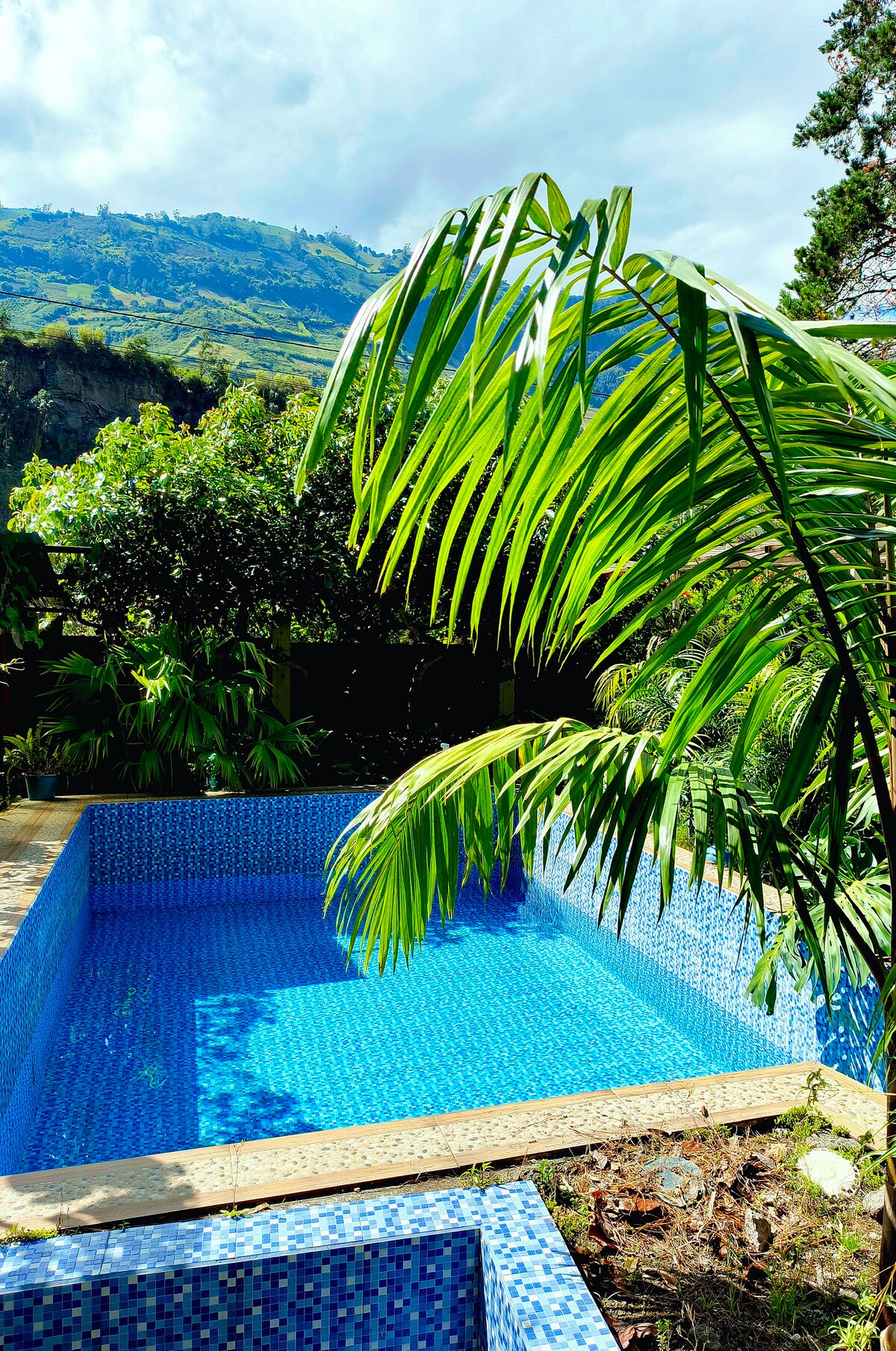 The swimming pool features a mosaic tile design, surrounded by lush greenery. A palm leaf is prominently visible in the foreground, while the backdrop showcases rolling hills under a partly cloudy sky. Natural light reflects off the water's surface, creating a serene atmosphere.