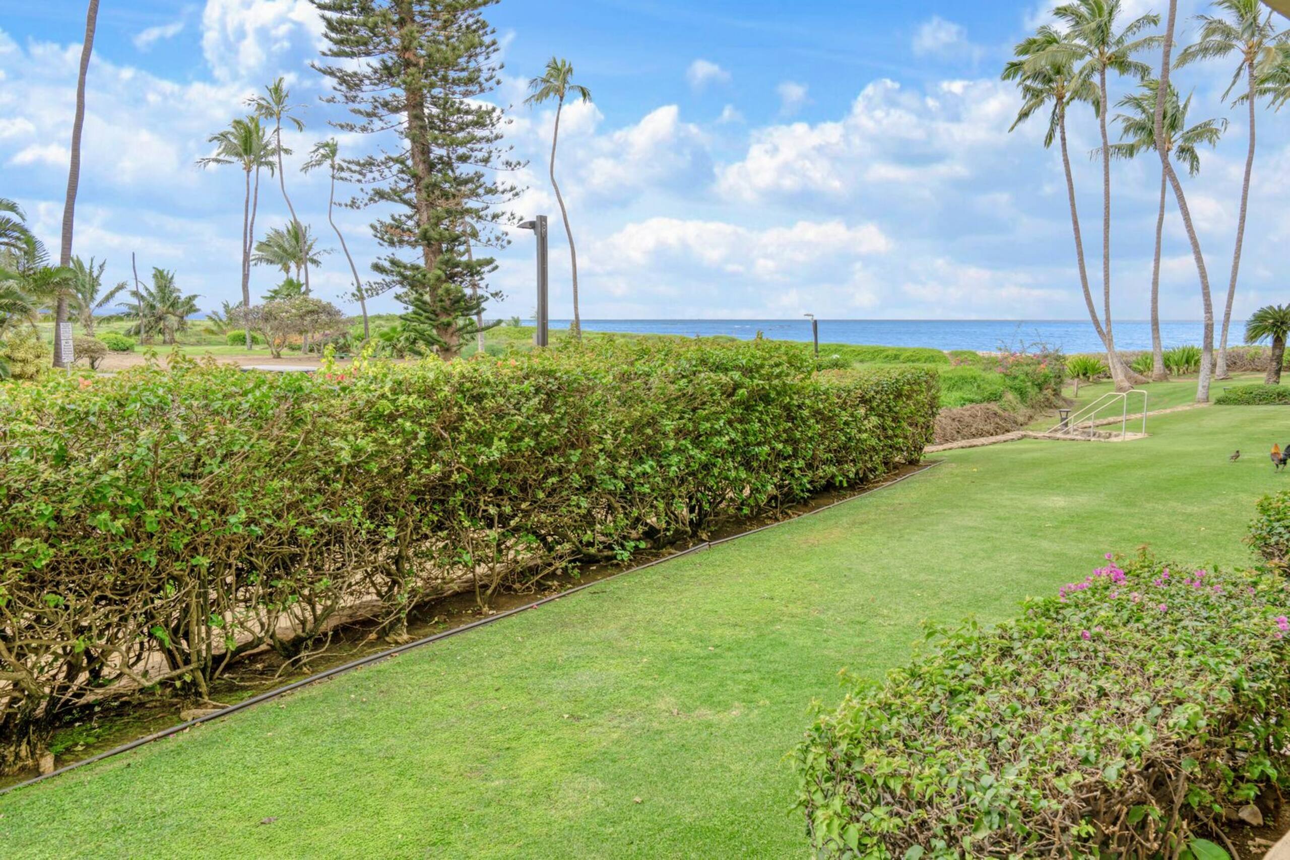 Condo in Kihei · ★4.46 · 2 bedrooms · 3 beds · 2 baths - Image 46