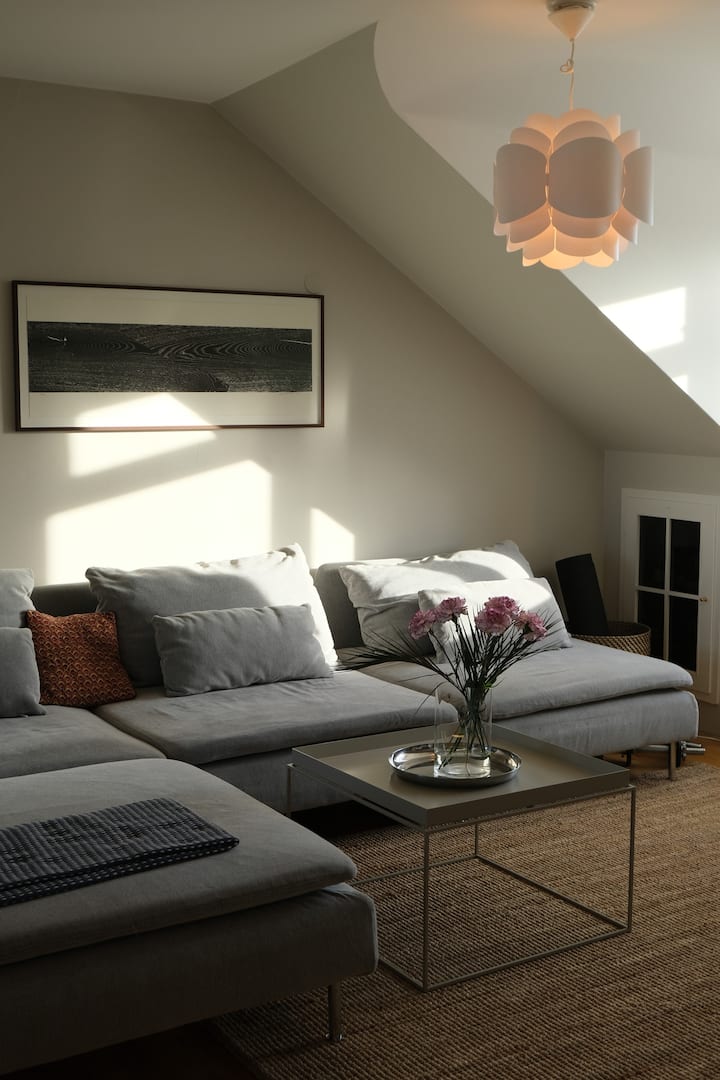 Spacious Loft Apartment In Reykjavik Centre - Reykjavik