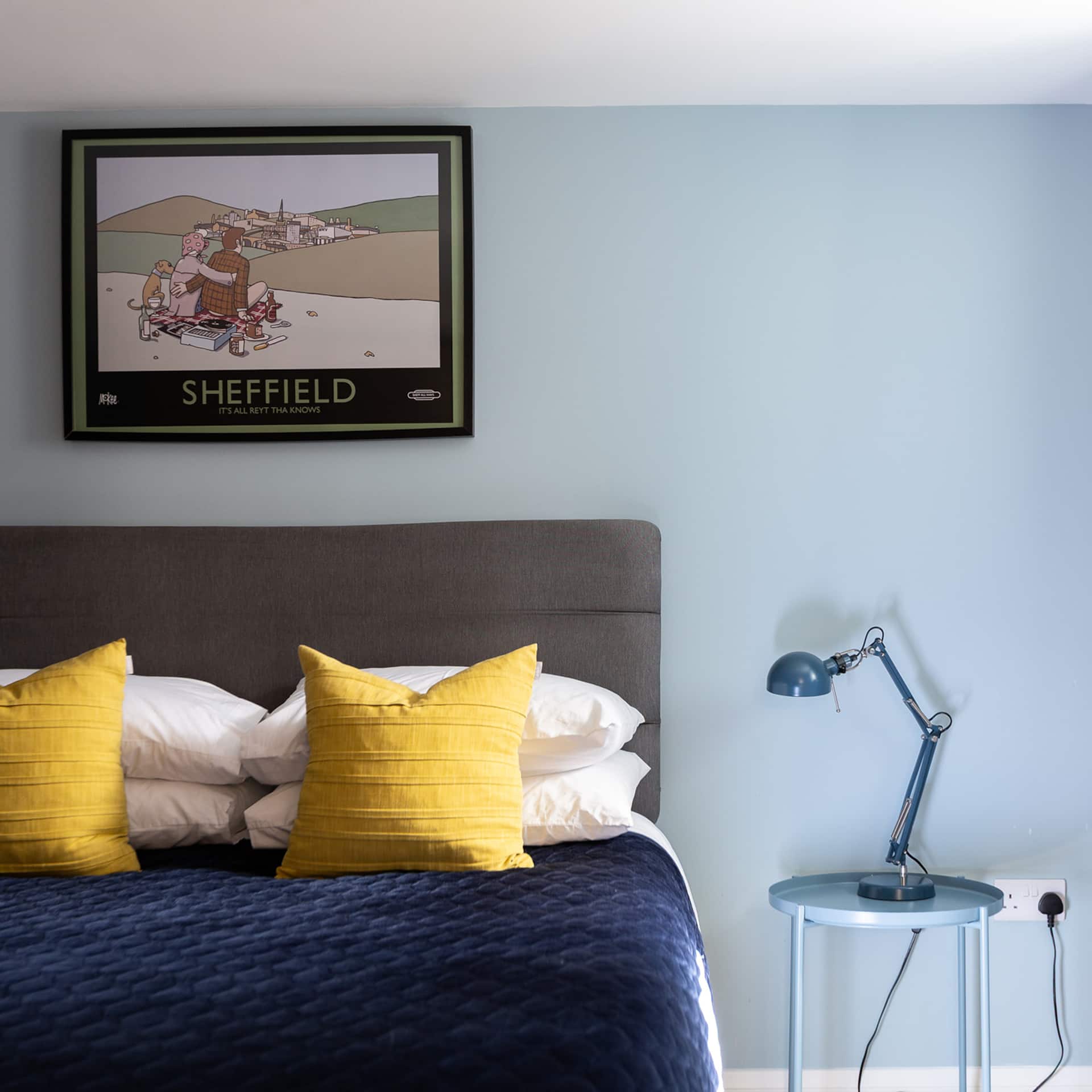 Stylish Flat Near Botanical Gardens in Leafy S10