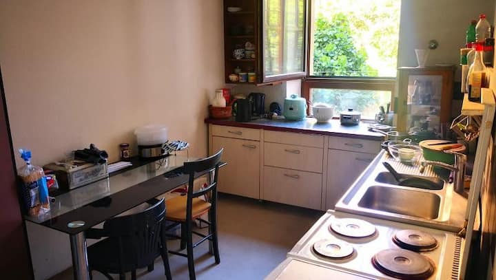 Art's  Studio +Library,fully Furnished. - Karlsruhe