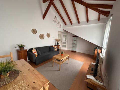 Successful Airbnb property: 5 Apartment in downtown Santander in Santander